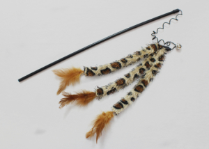 Jungle tail feather cat teaser