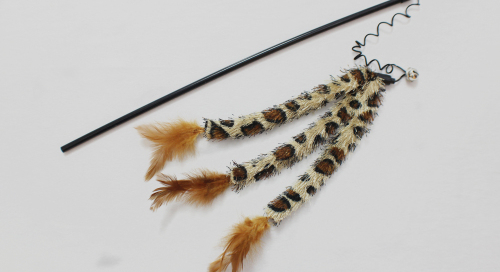 Jungle tail feather cat teaser