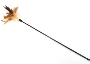 Natural Pheasant Feather Cat Teaser Toy