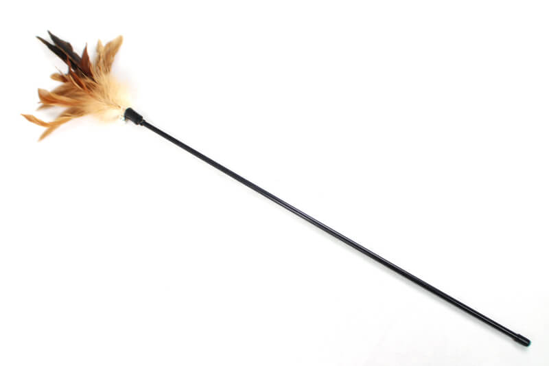 Natural Pheasant Feather Cat Teaser Toy