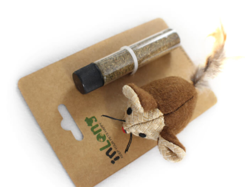 Refillable Plush Mouse with Catnip Toy Set