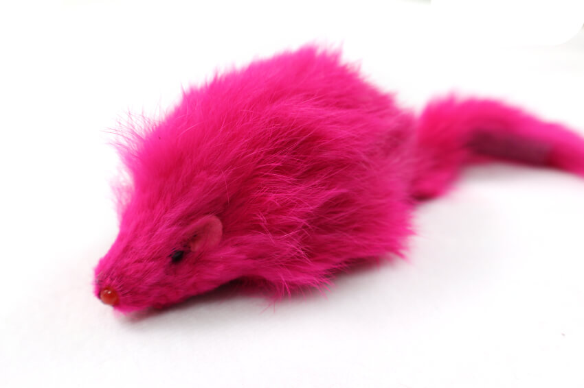 pink mouse cat toy
