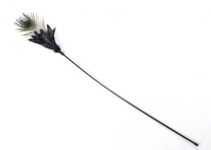 Long Stick Peacock Feather Cat Toy