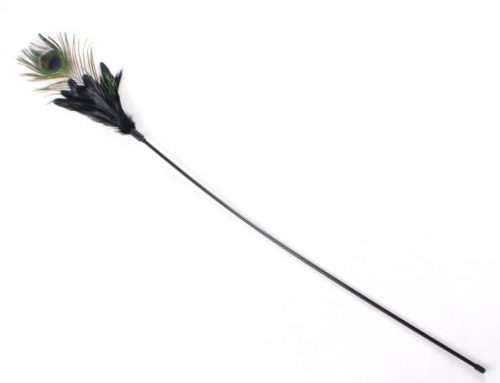 Long Stick Peacock Feather Cat Toy