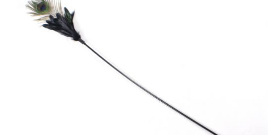 Long Stick Peacock Feather Cat Toy